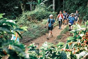 BIB: 
                            <button type="button" onclick="openModal(25852139)" class="btn btn-primary btn-sm float-right btn-popup" data-toggle="modal" data-target=".modal-high-quality">
                        <i class="fas fa-shopping-cart"></i> Add to Cart
                    </button>
                                            <button type="button" onclick="isThisMe(25852139, true)" class="btn btn-success btn-sm float-right btn-popup btn-isme hidden" data-toggle="tooltip" data-placement="bottom" title="นี่คือรูปของคุณใช่ไหม คลิกที่นี่เพื่อเอาเข้าอัลบั้ม">
                        <i class="fas fa-plus"></i> Add to album
                    </button>
                    <button type="button" onclick="isThisMe(25852139, false)" class="btn btn-warning btn-sm float-right btn-popup btn-isnotme hidden">
                        <i class="fas fa-ban"></i> Remove from album
                    </button>